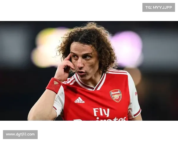 大卫路易斯落选：解析失败的竞选策略