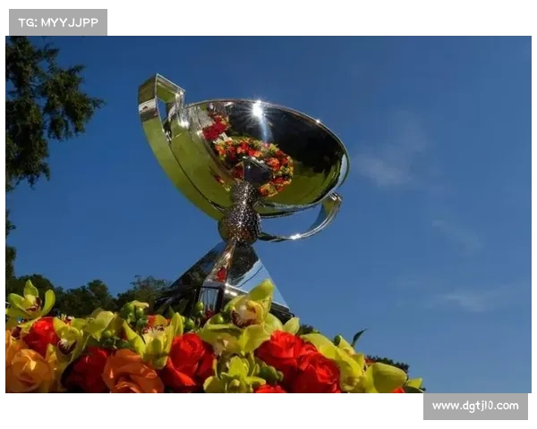 全方位全面解读欧协联决赛规则与比赛流程梳理及观赛要点解析指南 全方位全面解读欧协联决赛规则与比赛流程梳理及观赛要点解析指南